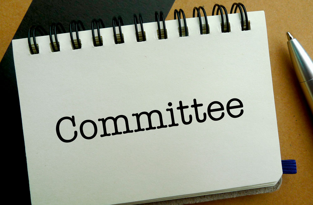 Committee/Board work/Management