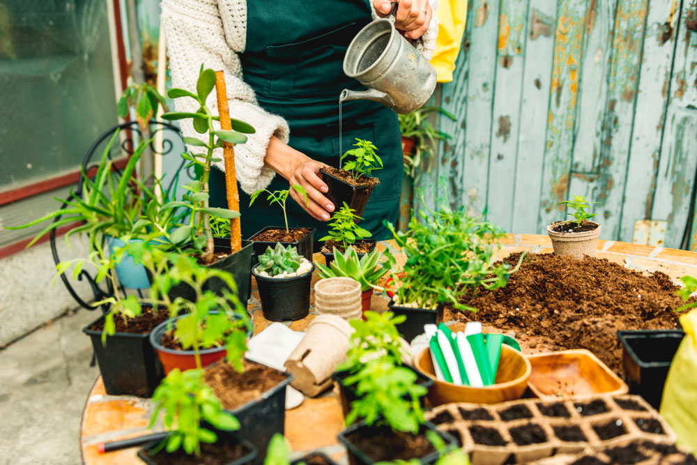 General Garden Maintenance (Tintern Abbey)